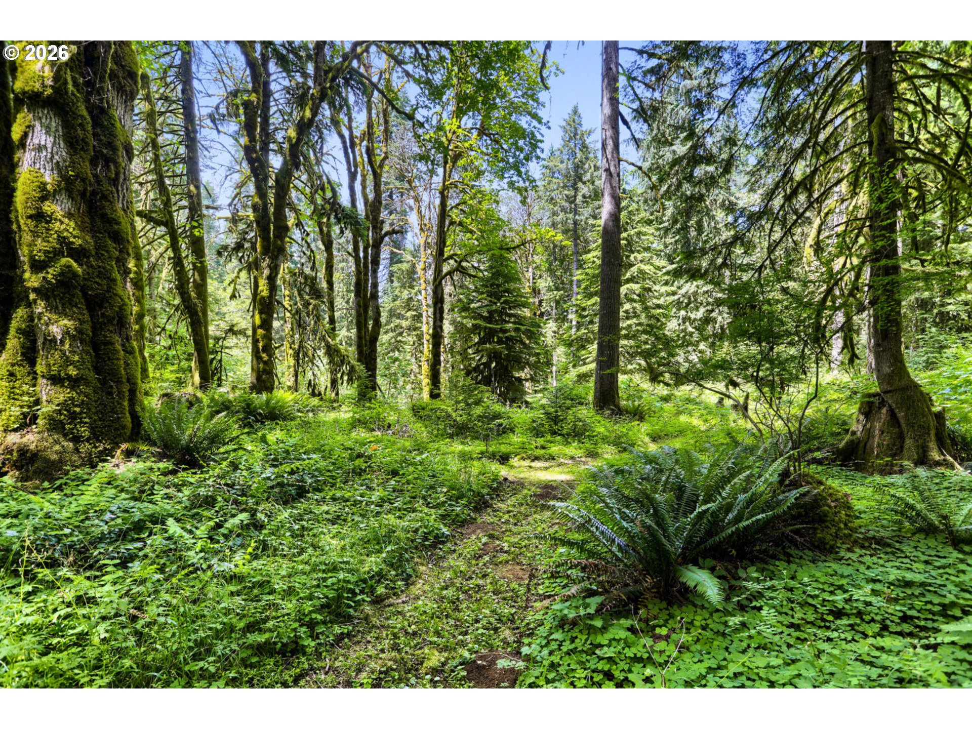 39105 Southeast Gordon Creek Road Corbett, OR 97019 - Photo 31 of 38