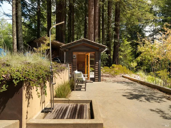 a view of a yard with plants and trees