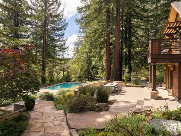 a view of a yard with plants and a bench