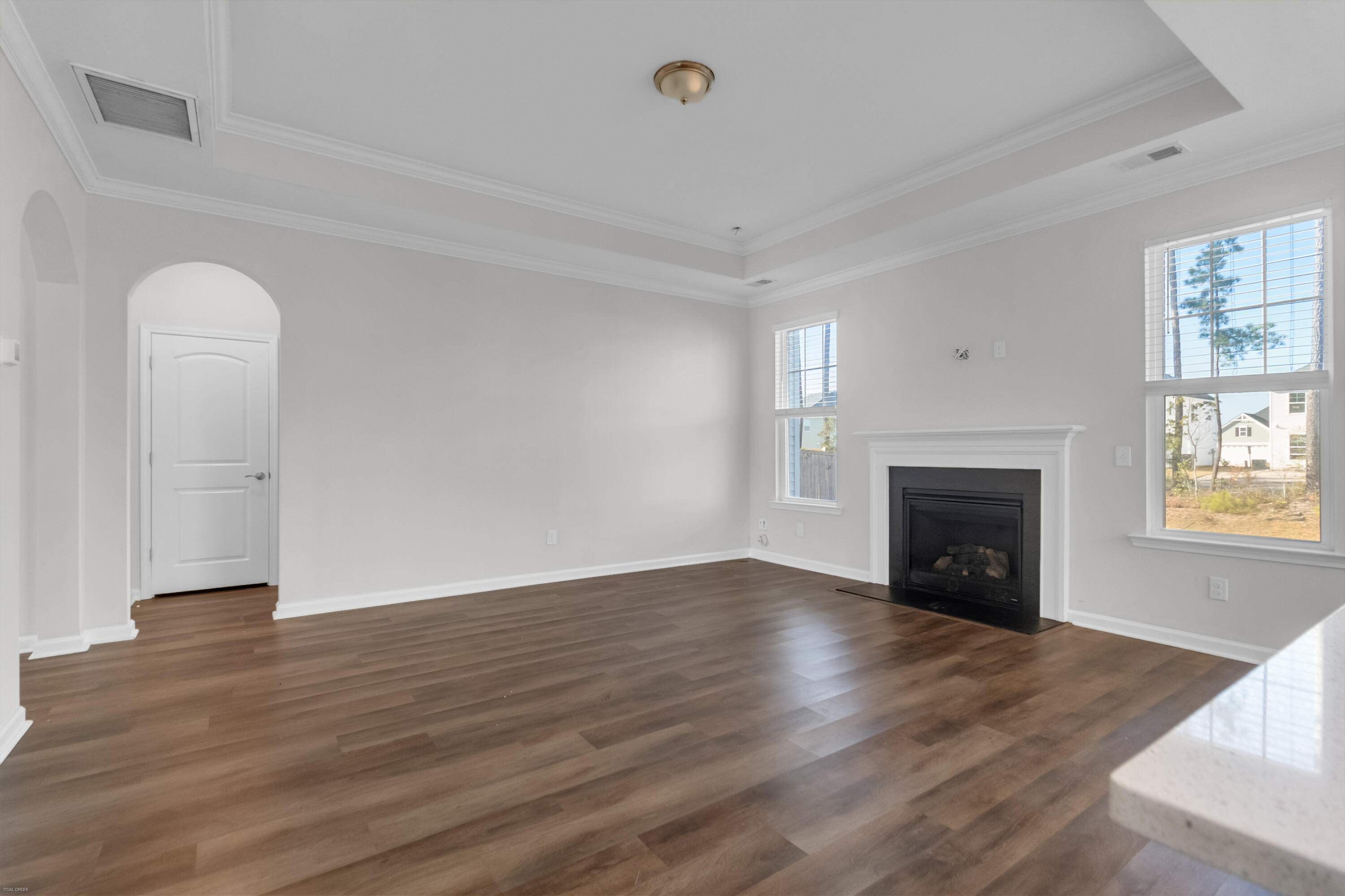 293 Saxony Loop Summerville, SC 29486 - Photo 15 of 43 293 Saxony Loop -Tidalcreekphoto- (21)