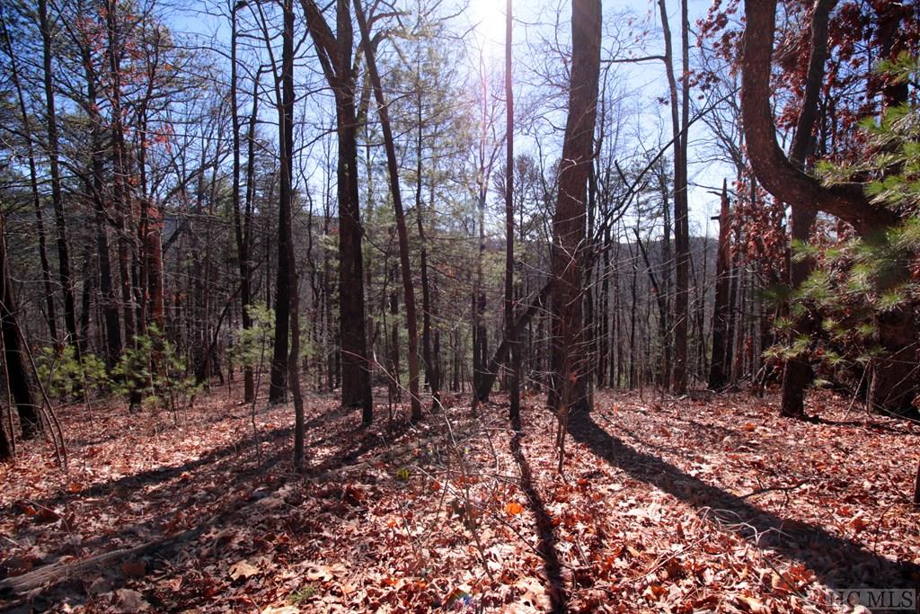 Lot 17 Arrowhead Ridge Road Brevard, NC 28712 - Photo 6 of 6 Gallery Image 6