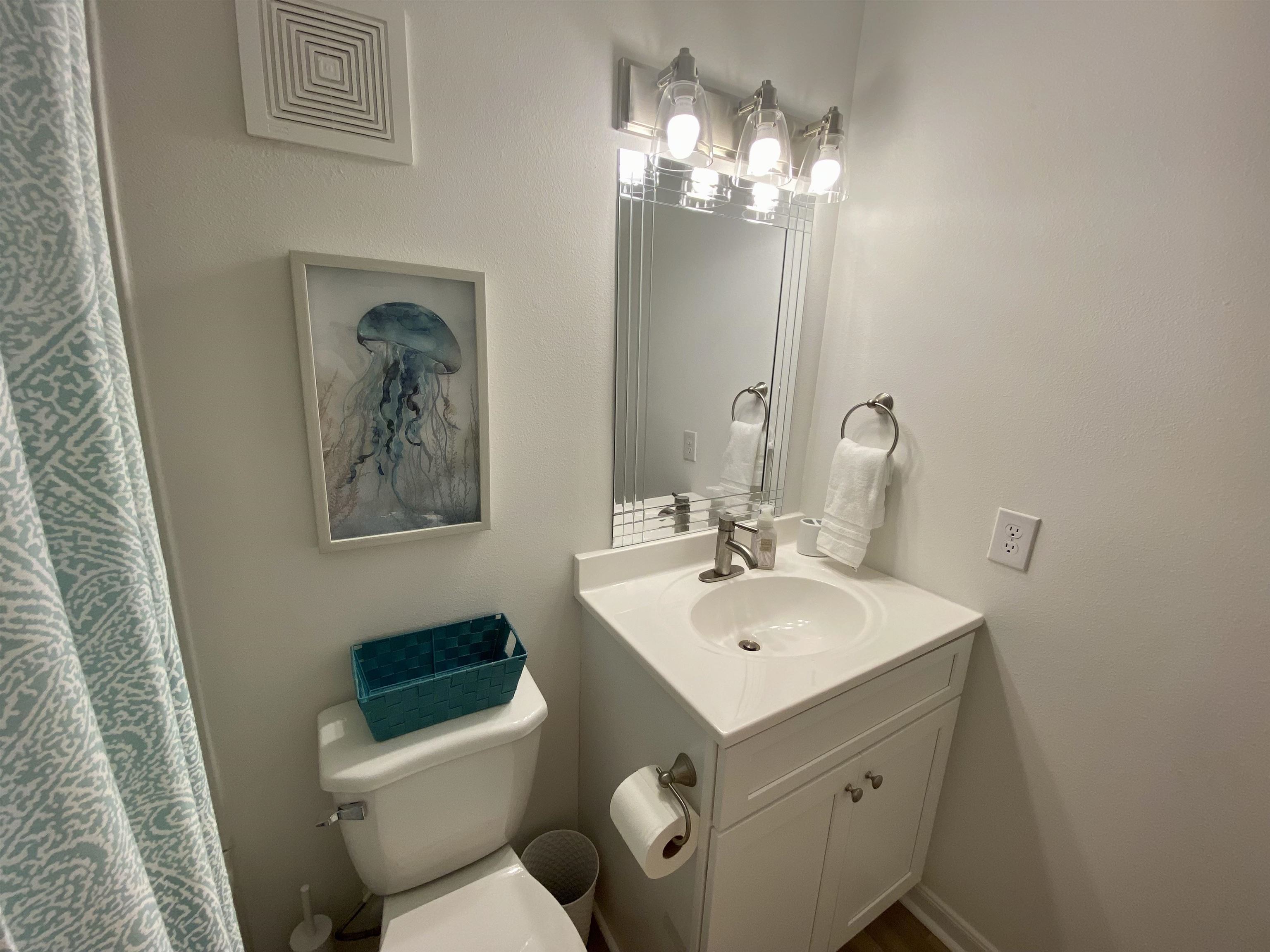 400 Plantation Road, Unit 4209 Gulf Shores, AL 36542 - Photo 16 of 27 Private Bath