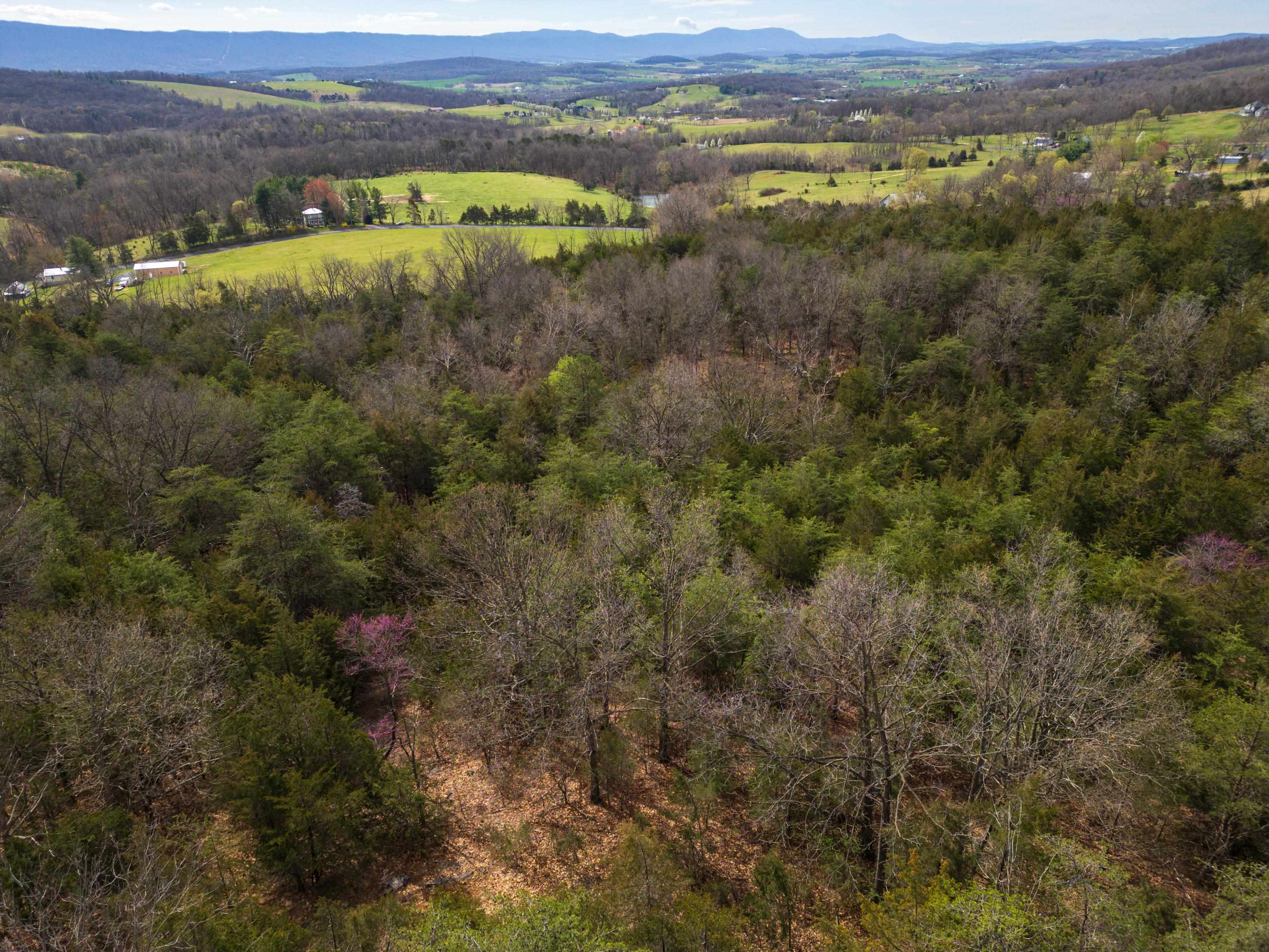 576 Ridge Road New Market, VA 22844 - Photo 27 of 52 Gallery Image 27