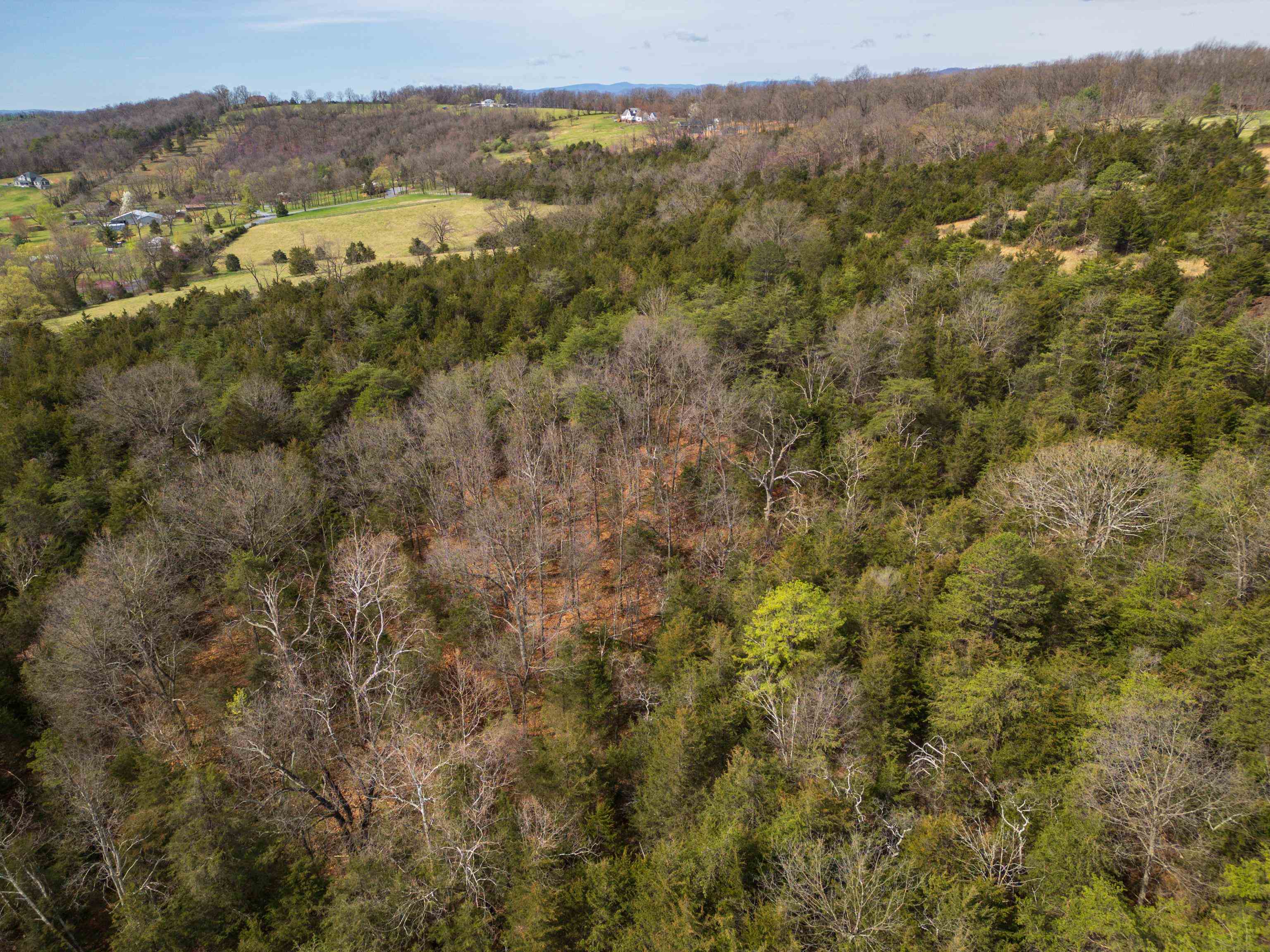 576 Ridge Road New Market, VA 22844 - Photo 49 of 52 Gallery Image 49