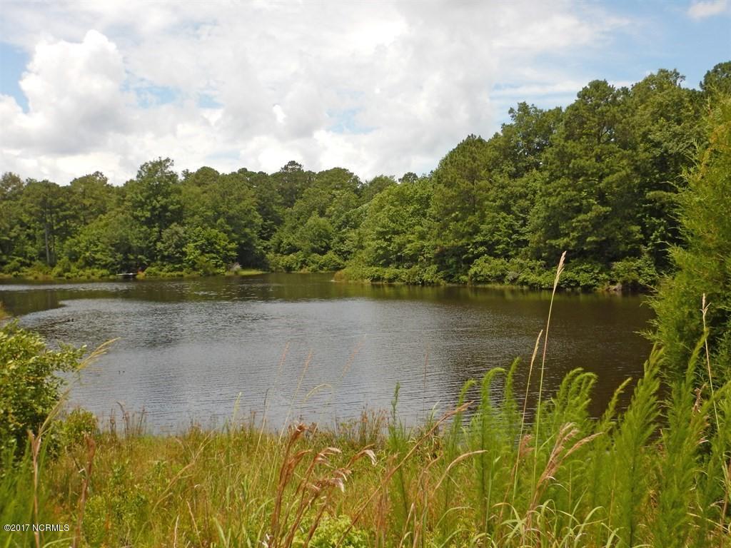126 Elizabeth Road Arapahoe, NC 28510 - Photo 13 of 14 Lake View from road