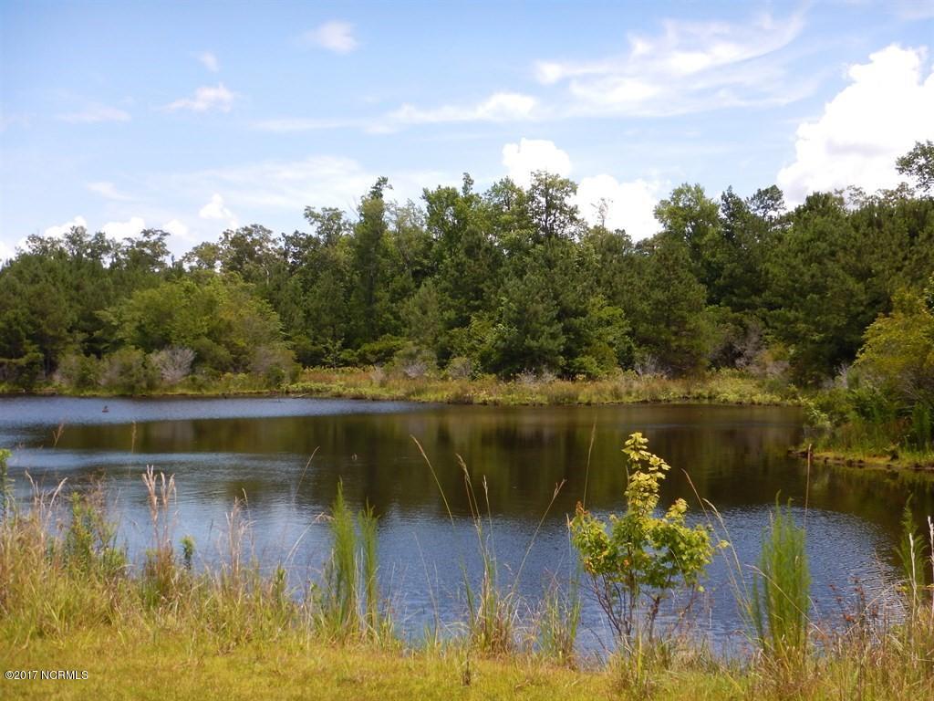 126 Elizabeth Road Arapahoe, NC 28510 - Photo 14 of 14 Other side of road lake view