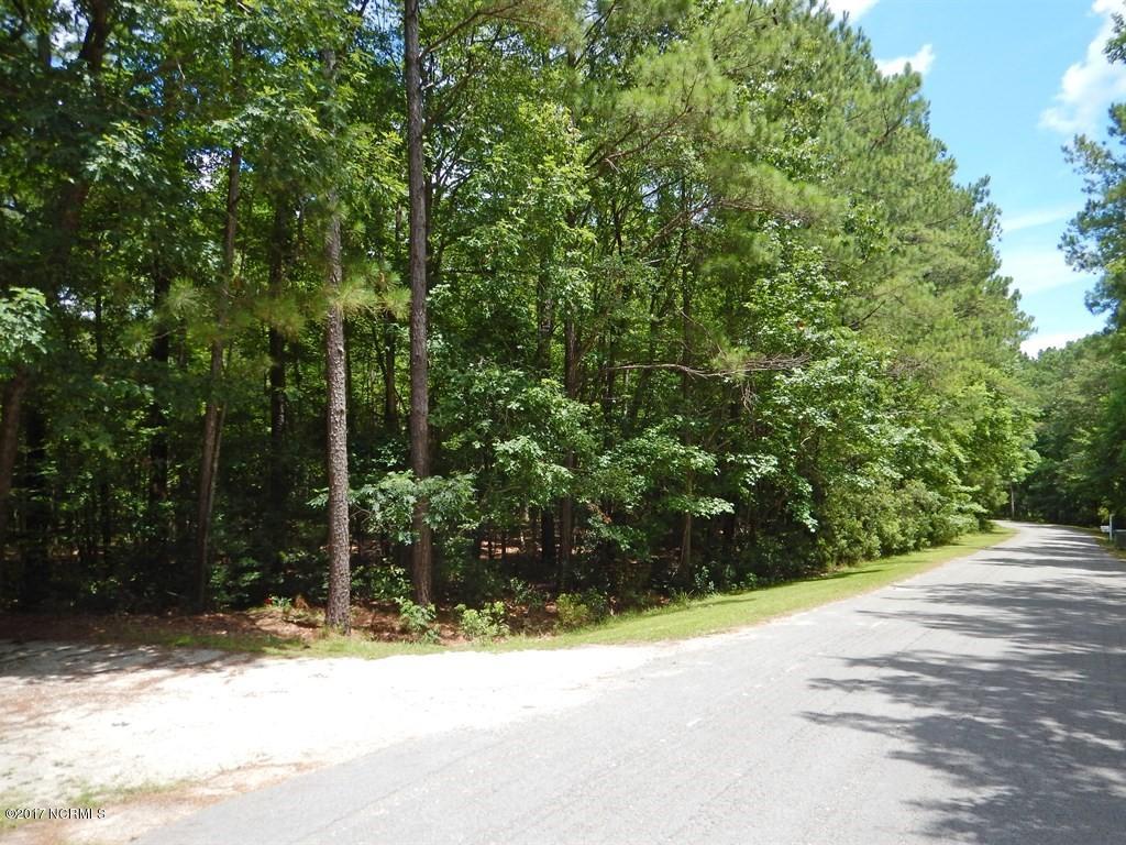 126 Elizabeth Road Arapahoe, NC 28510 - Photo 3 of 14 Front of Lot
