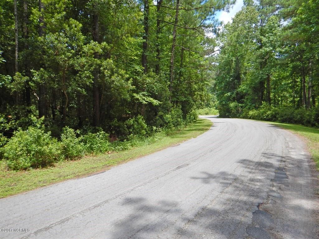 126 Elizabeth Road Arapahoe, NC 28510 - Photo 4 of 14 Side of Lot Right