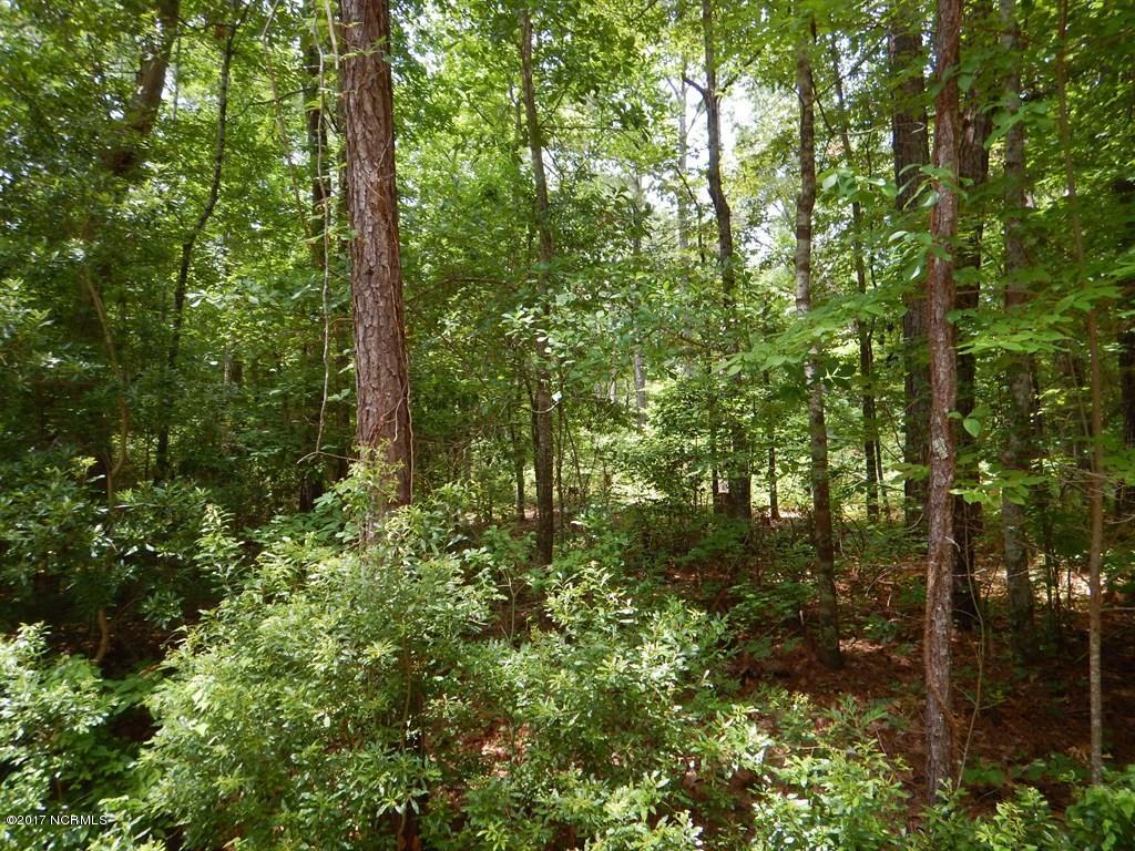 126 Elizabeth Road Arapahoe, NC 28510 - Photo 5 of 14 Middle of lot Left