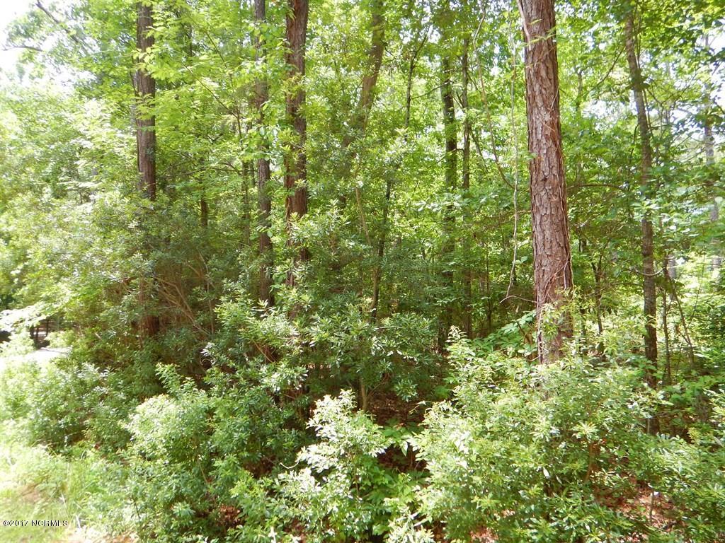 126 Elizabeth Road Arapahoe, NC 28510 - Photo 6 of 14 Middle of lot Right