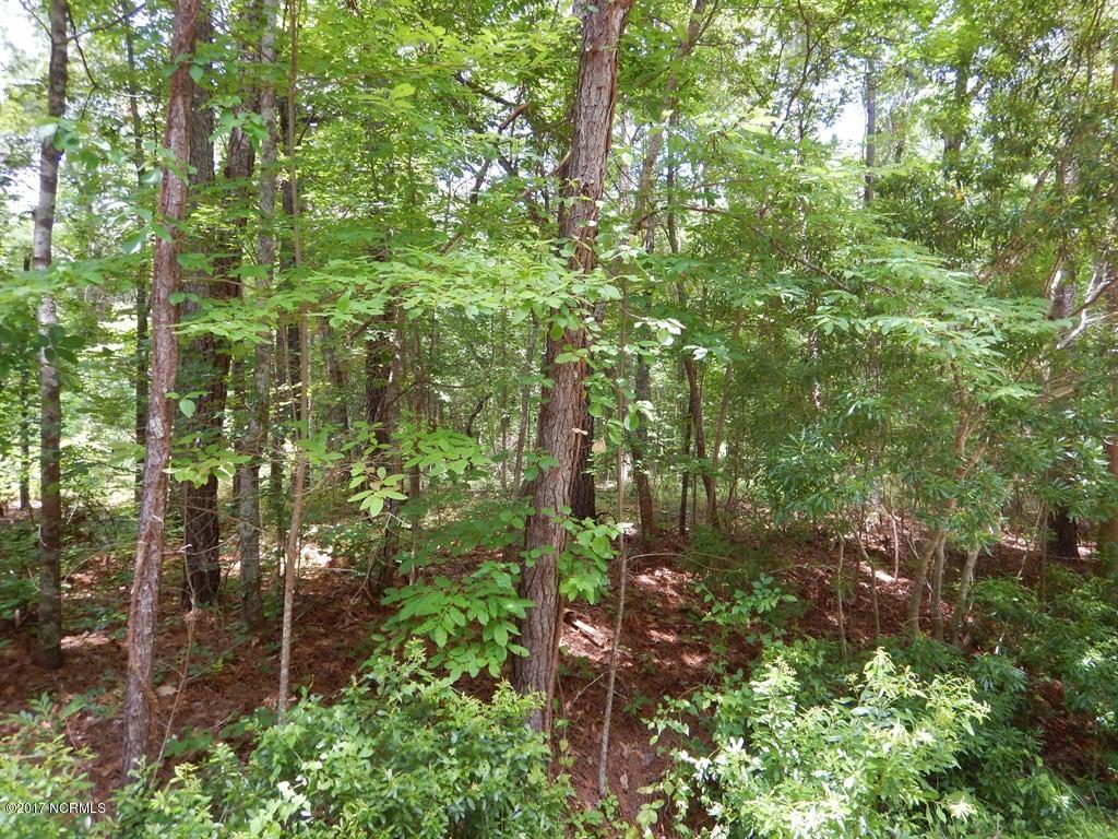 126 Elizabeth Road Arapahoe, NC 28510 - Photo 7 of 14 Interior of lot