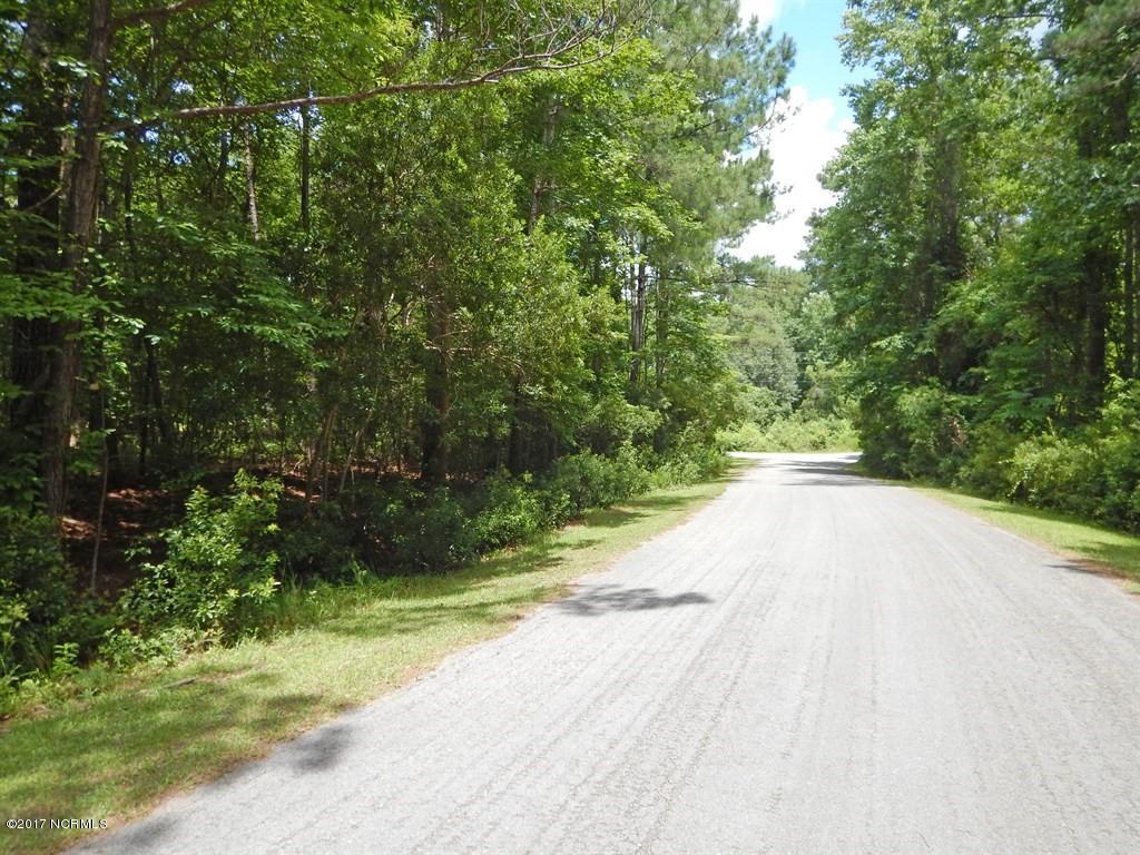 126 Elizabeth Road Arapahoe, NC 28510 - Photo 9 of 14 Looking back towards lot on Elizabeth Street