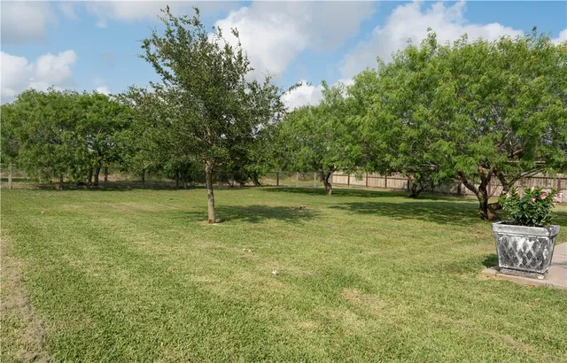 a view of a green field with trees in the background