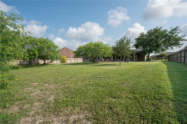 a view of a park with large trees