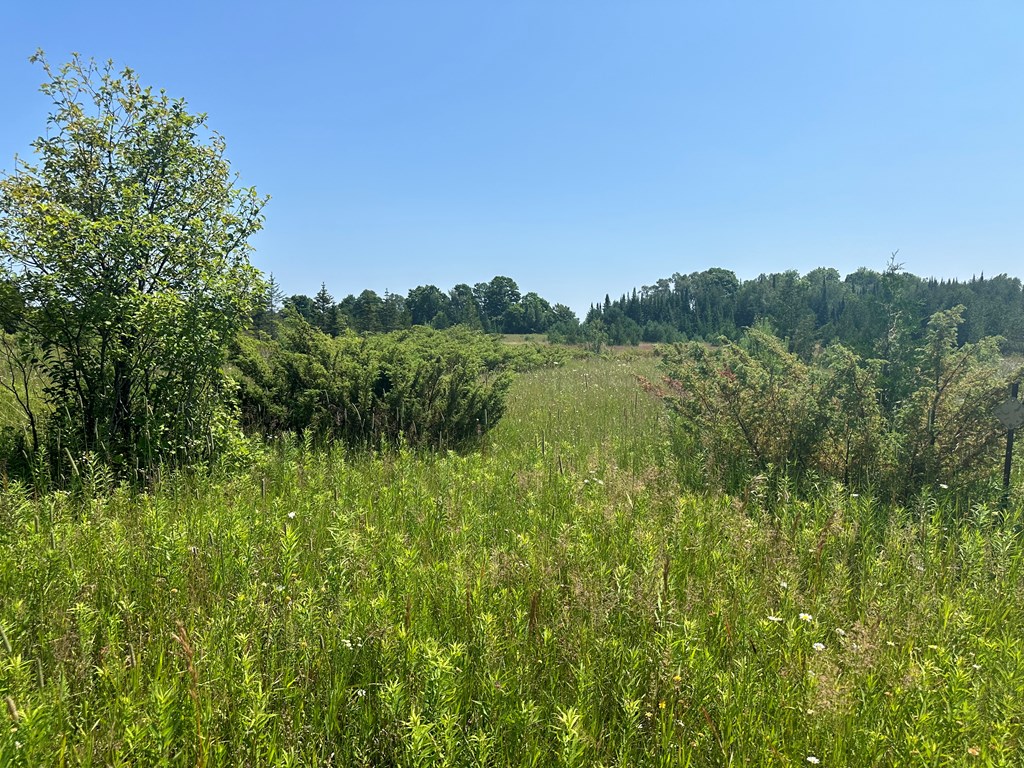 Lot #3 Cedar Ridge Road Baileys Harbor, WI 54202 - Photo 2 of 3