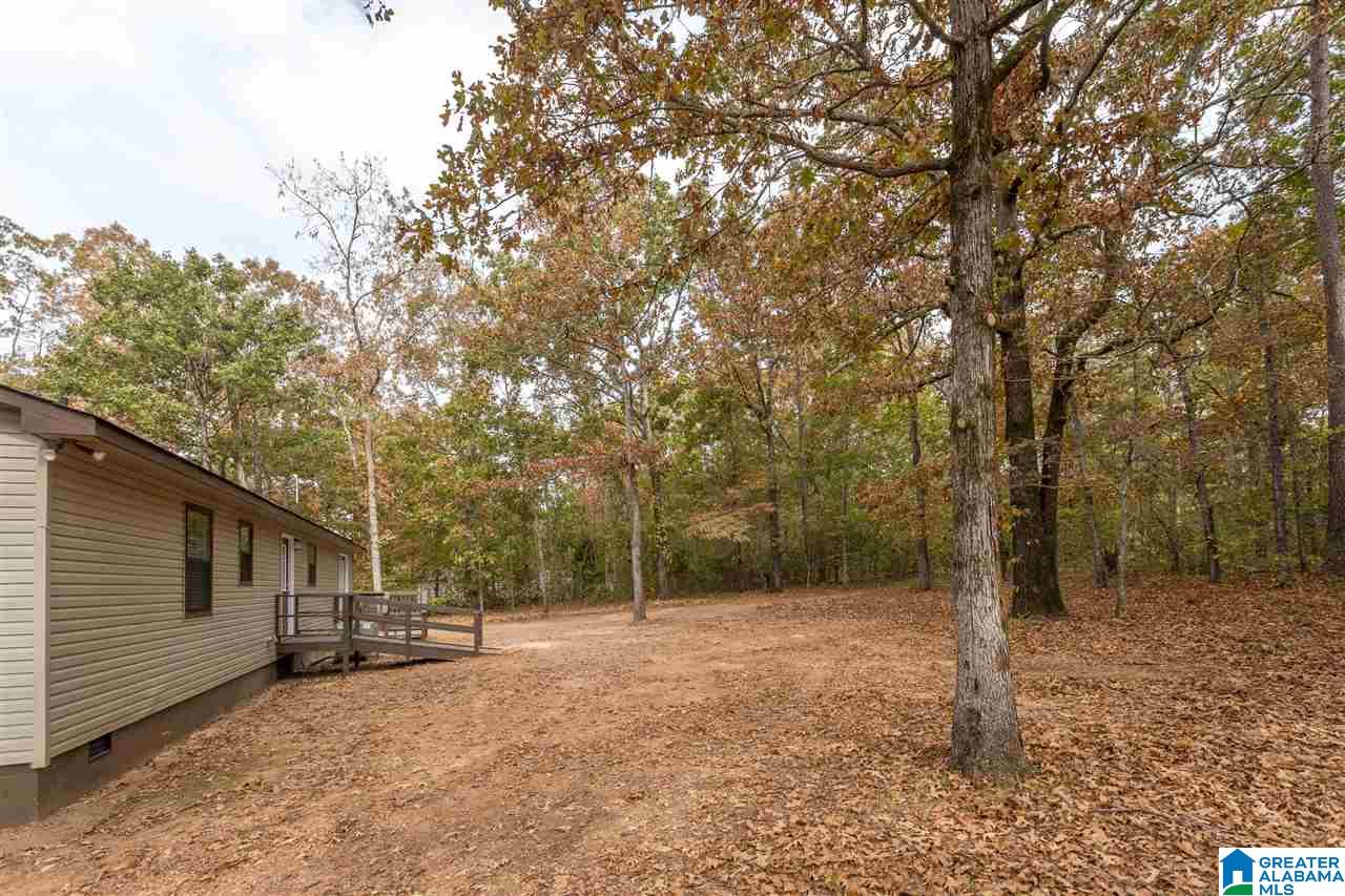 835 Funderburg Bend Road Pell City, AL 35128 - Photo 40 of 42