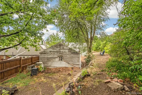 a view of a yard with plants and trees