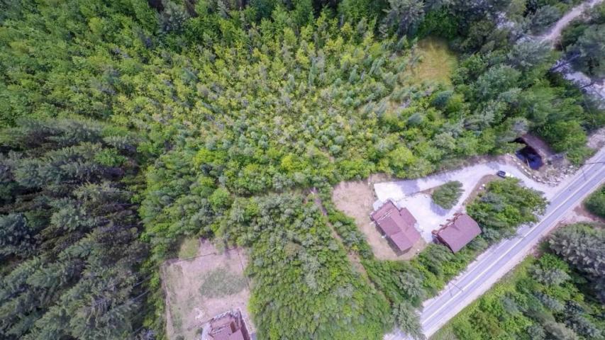0 Monkey Brook Road, Unit LOT 2 Newry, ME 04261 - Photo 9 of 13 photo 4