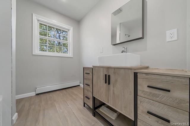 65 Old Cahoonzie Road Sparrowbush, NY 12780 - Photo 32 of 44 a bathroom with a sink a mirror and wooden floor