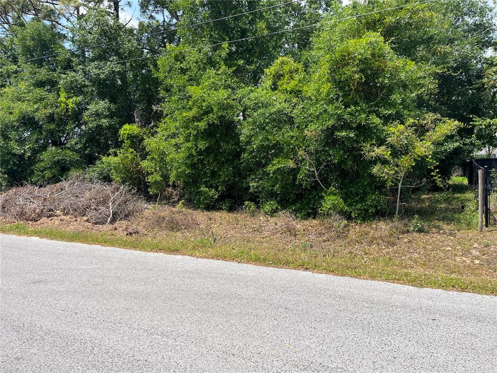 Tbd Southeast 98th Court Summerfield, FL 34491 - Photo 4 of 6 a view of a yard with plants and trees