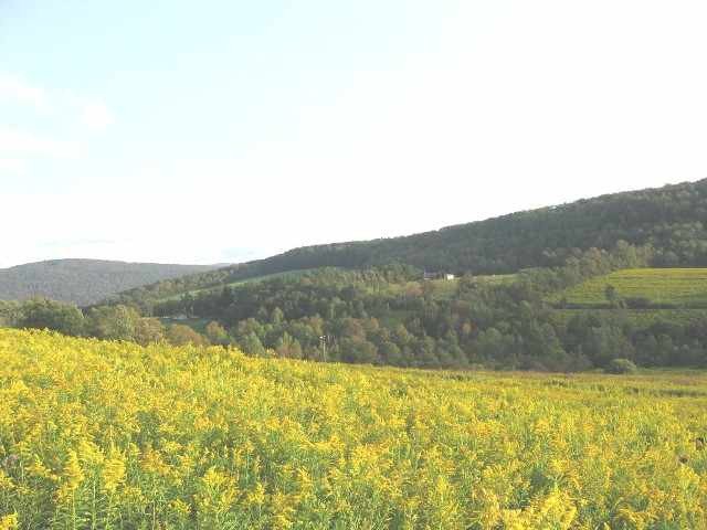 259 Porath Road Cherry Valley, NY 13320 - Photo 11 of 12 Photo 11