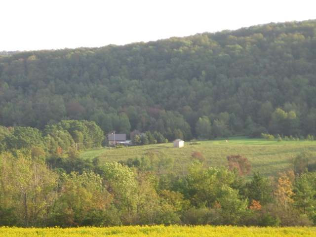 259 Porath Road Cherry Valley, NY 13320 - Photo 12 of 12 Photo 12