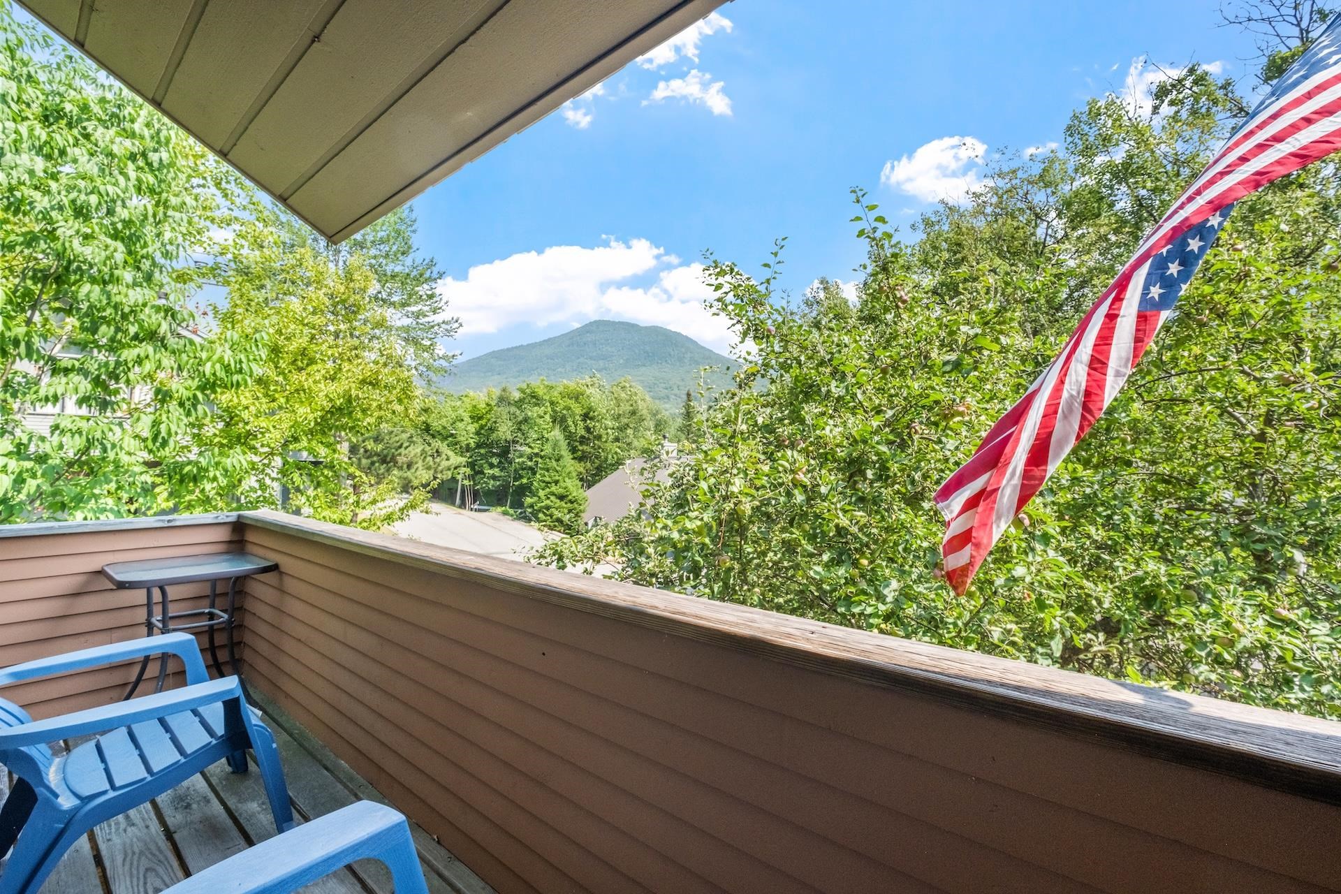 7 Potash Road, Unit 1 Lincoln, NH 03251 - Photo 22 of 40
