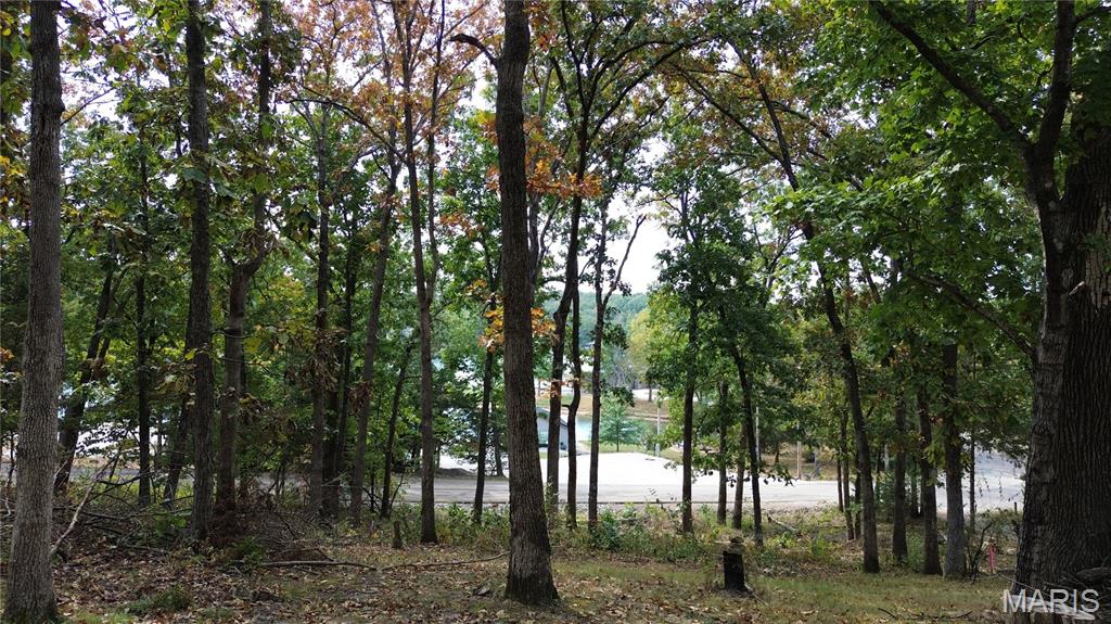 2116 Marina Loop Perryville, MO 63775 - Photo 3 of 14