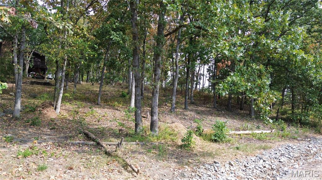 2116 Marina Loop Perryville, MO 63775 - Photo 4 of 14