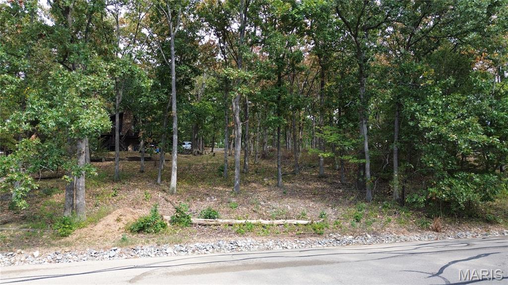 2116 Marina Loop Perryville, MO 63775 - Photo 5 of 14