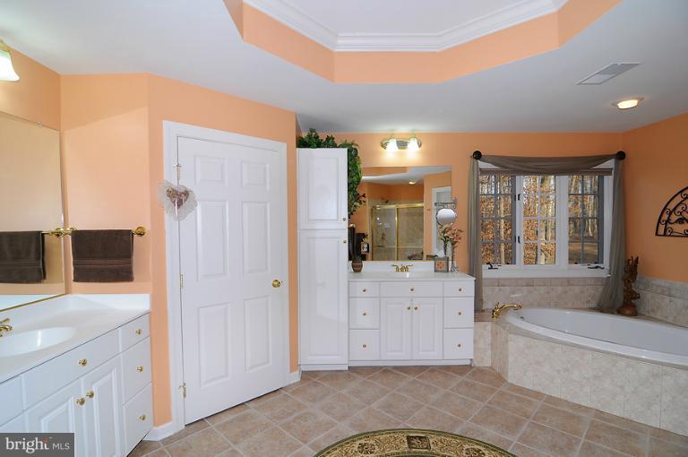 7540 Pindell School Road Fulton, MD 20759 - Photo 3 of 30 Bath (Master)