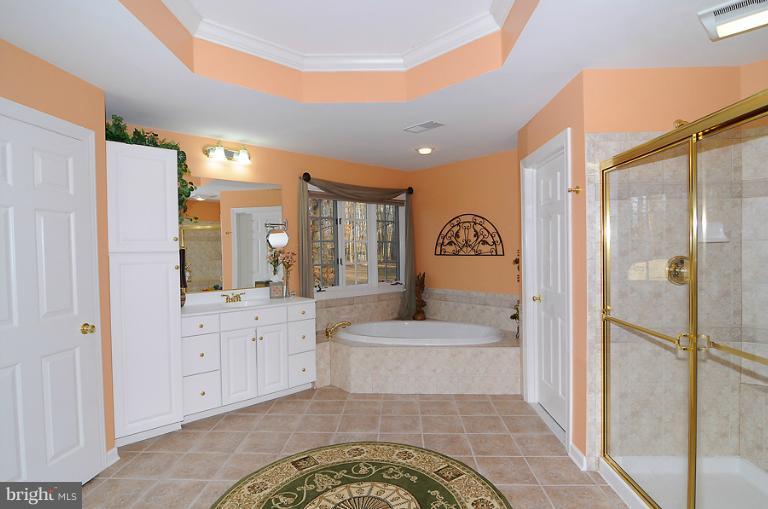 7540 Pindell School Road Fulton, MD 20759 - Photo 5 of 30 Bath (Master)