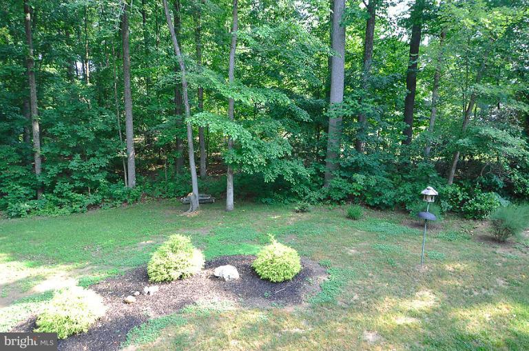 7540 Pindell School Road Fulton, MD 20759 - Photo 8 of 30 Yard