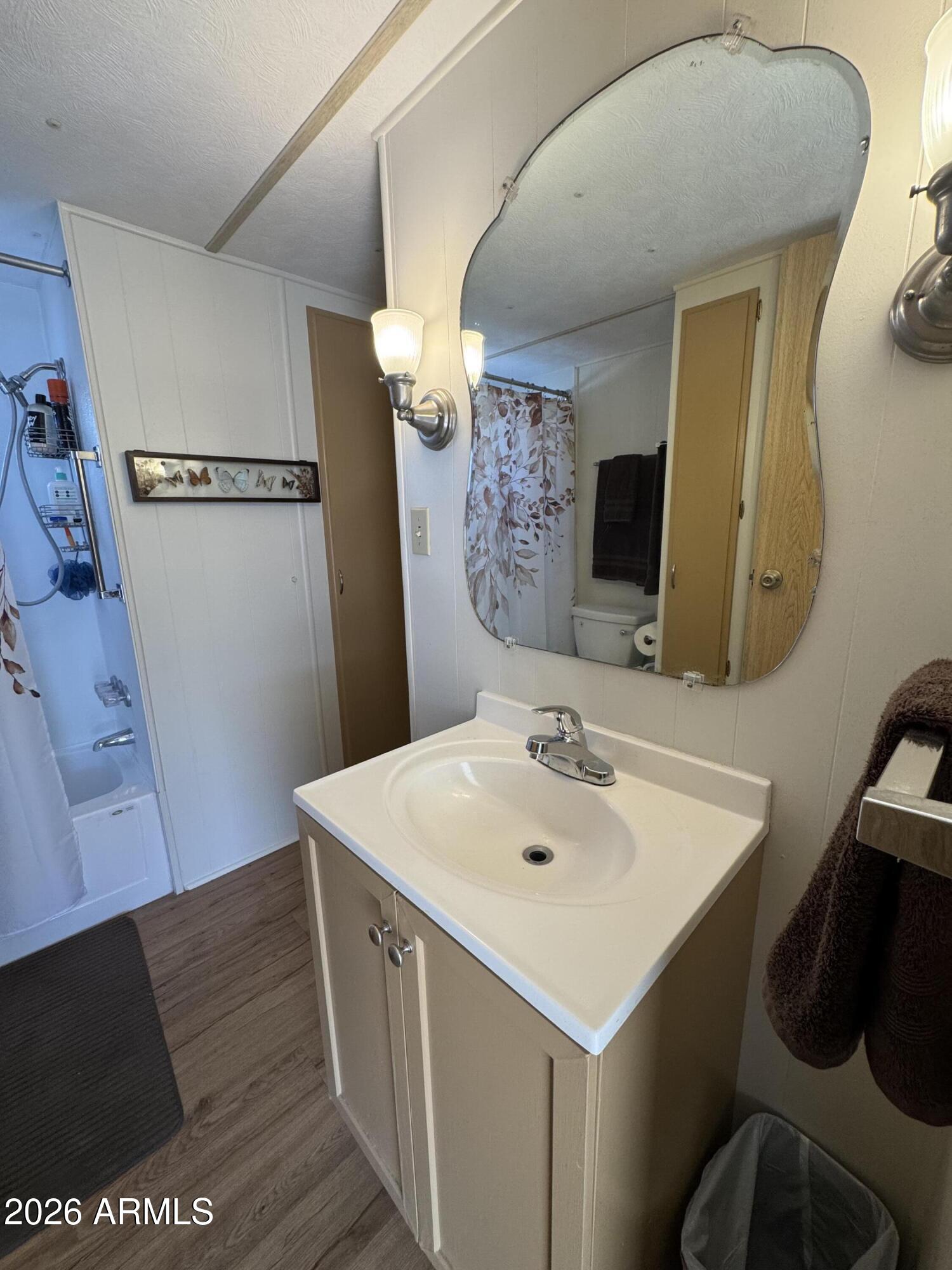 269 North Winchester Road, Unit 36 Apache Junction, AZ 85119 - Photo 11 of 19 a bathroom with a sink and a mirror