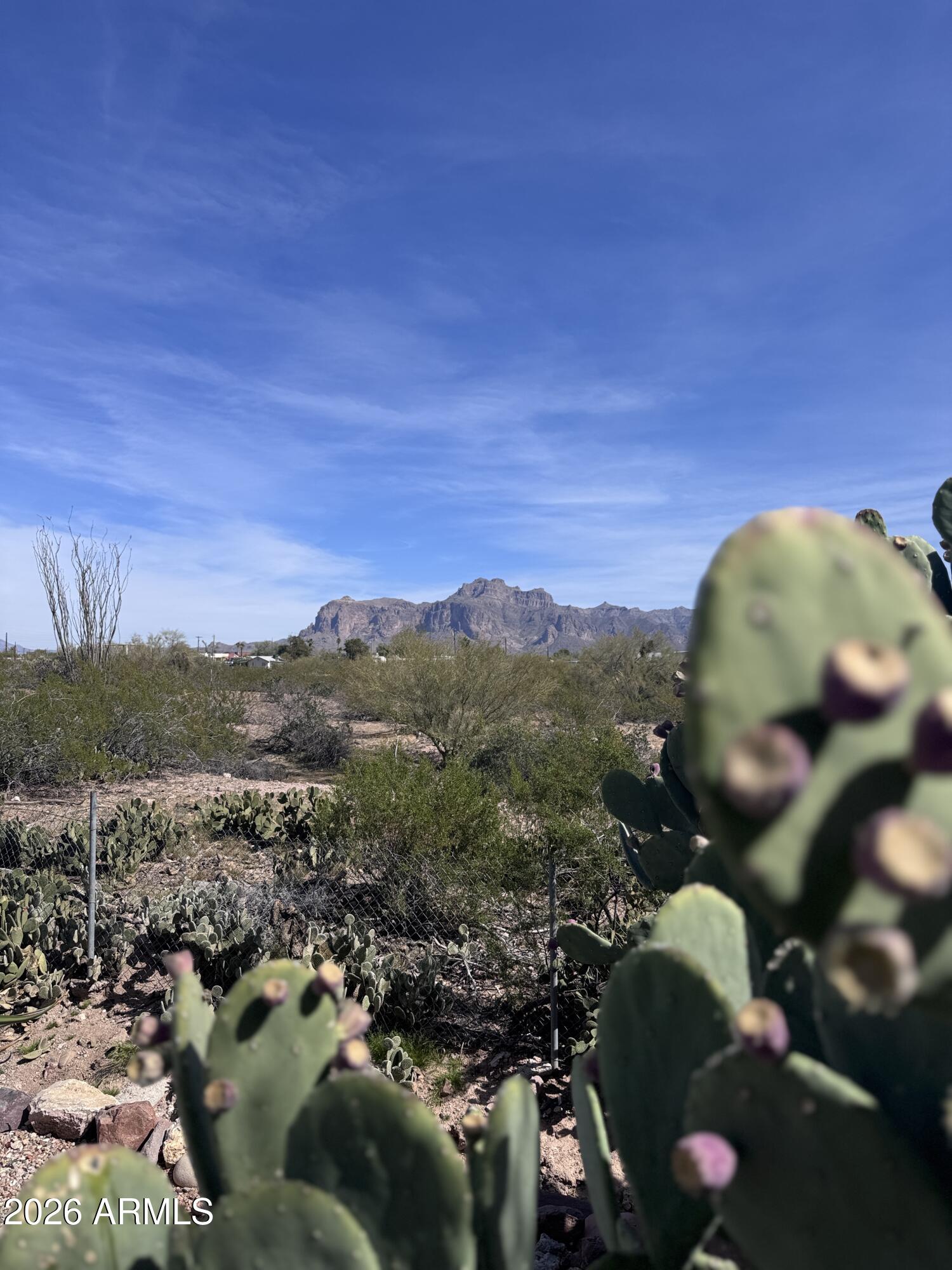 269 North Winchester Road, Unit 36 Apache Junction, AZ 85119 - Photo 19 of 19