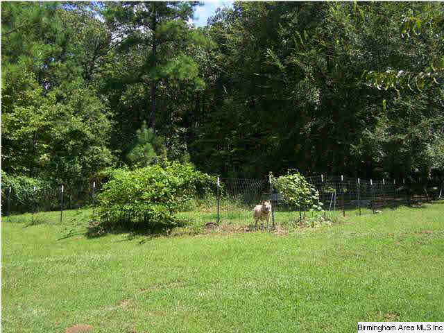 1740 Springhill Road Talladega, AL 35160 - Photo 20 of 24