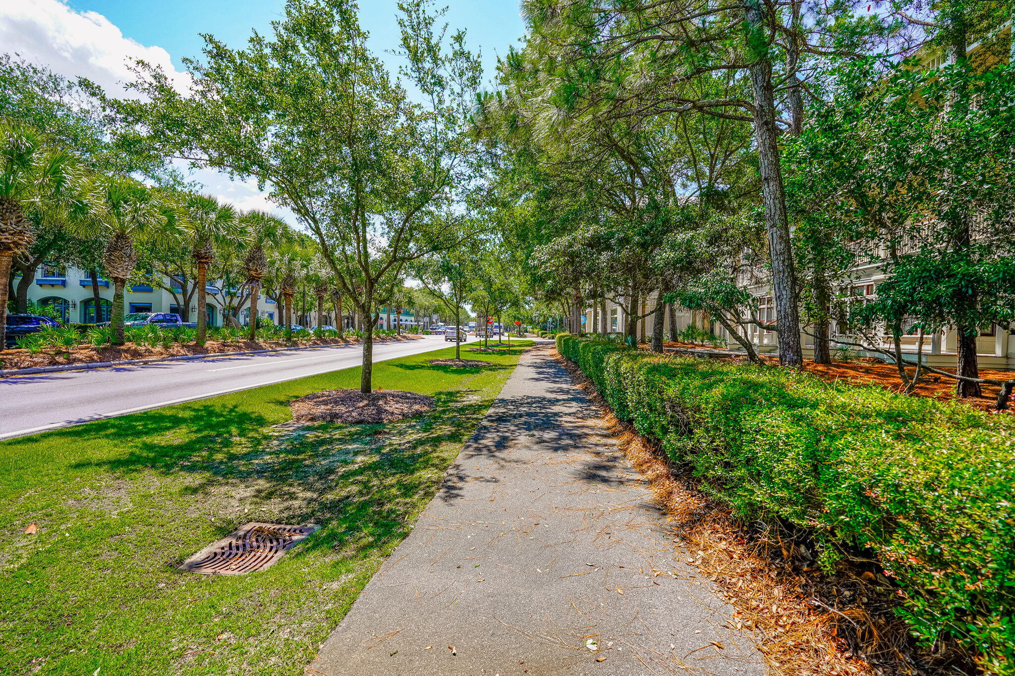 1660 East County Highway 30A, Unit 102 Santa Rosa Beach, FL 32459 - Photo 40 of 48 a view of a park with large trees