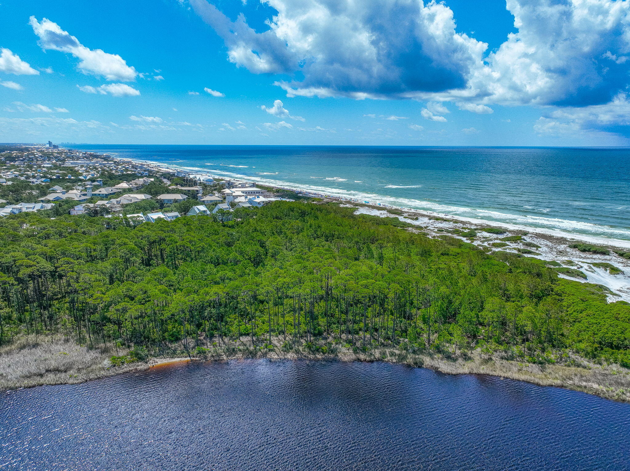 1660 East County Highway 30A, Unit 102 Santa Rosa Beach, FL 32459 - Photo 41 of 48 a view of an ocean and a yard