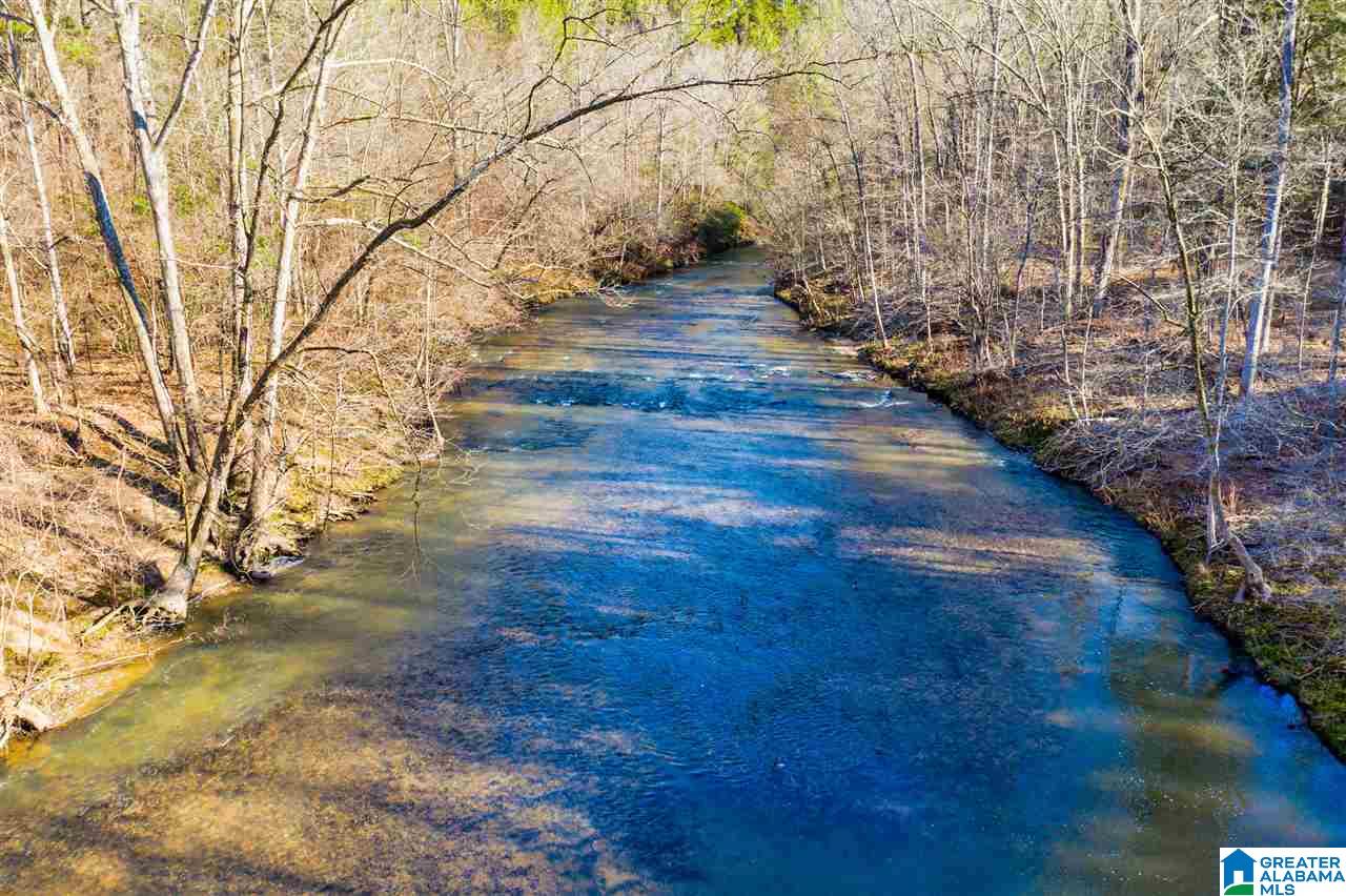 0 County Road 8, Unit 1 Clanton, AL 35045 - Photo 6 of 30