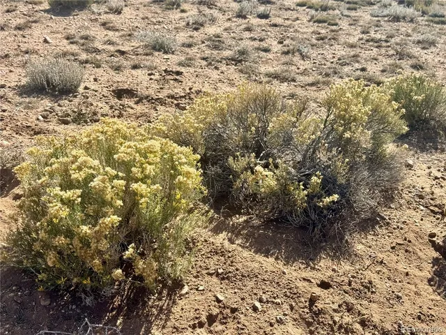 $6,000 | Lot 3 South 5th Street, Blanca, CO 81123