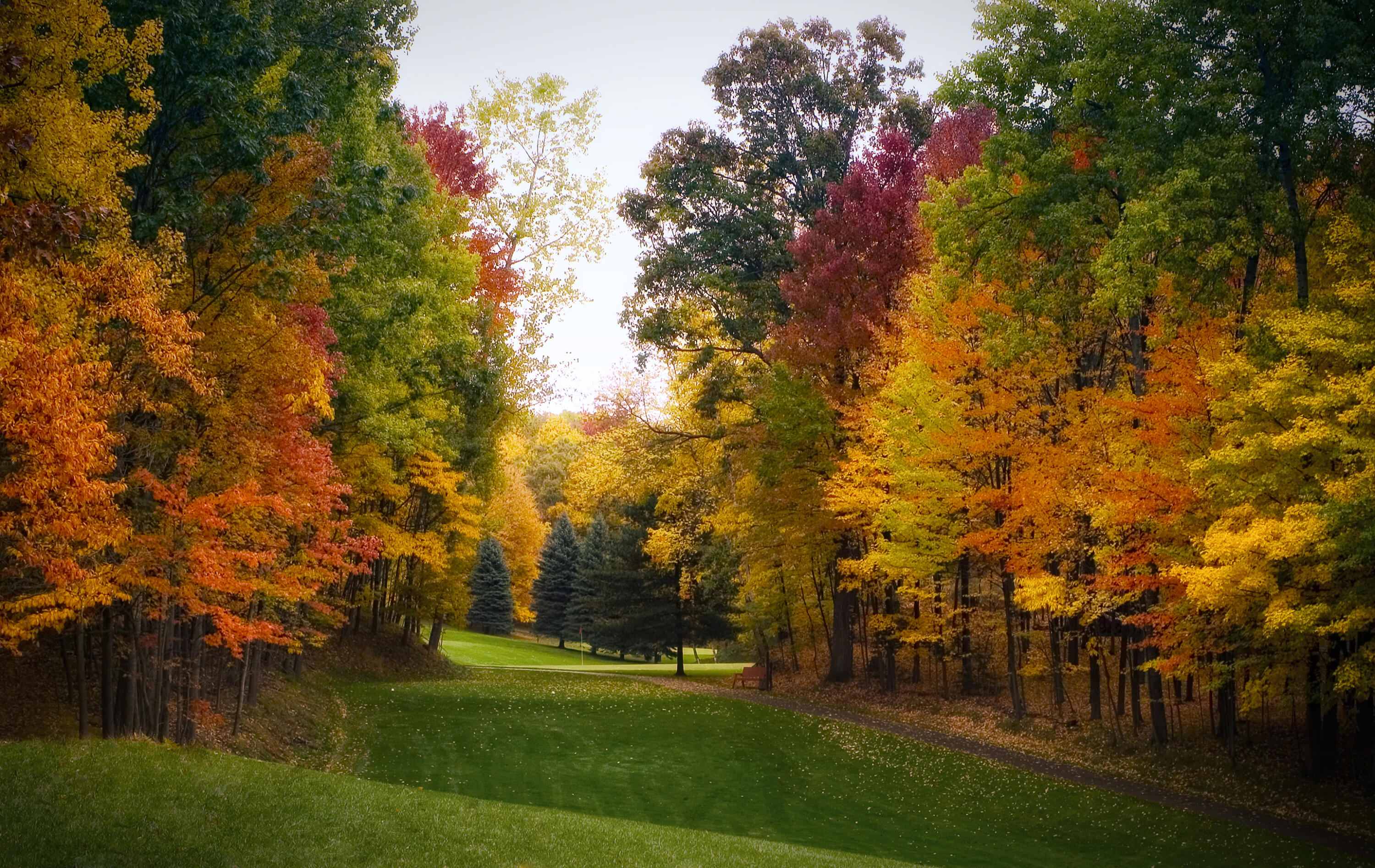CL fall golf photo