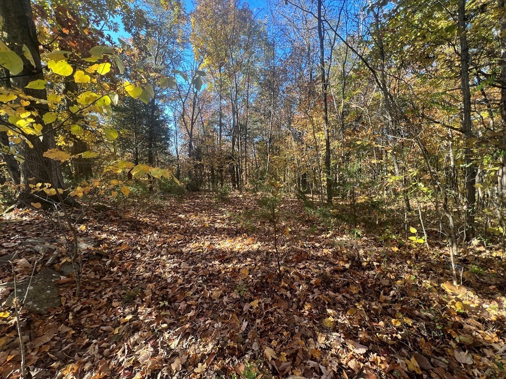 0 Manning Hollow Road Sevierville, TN 37876 - Photo 9 of 14