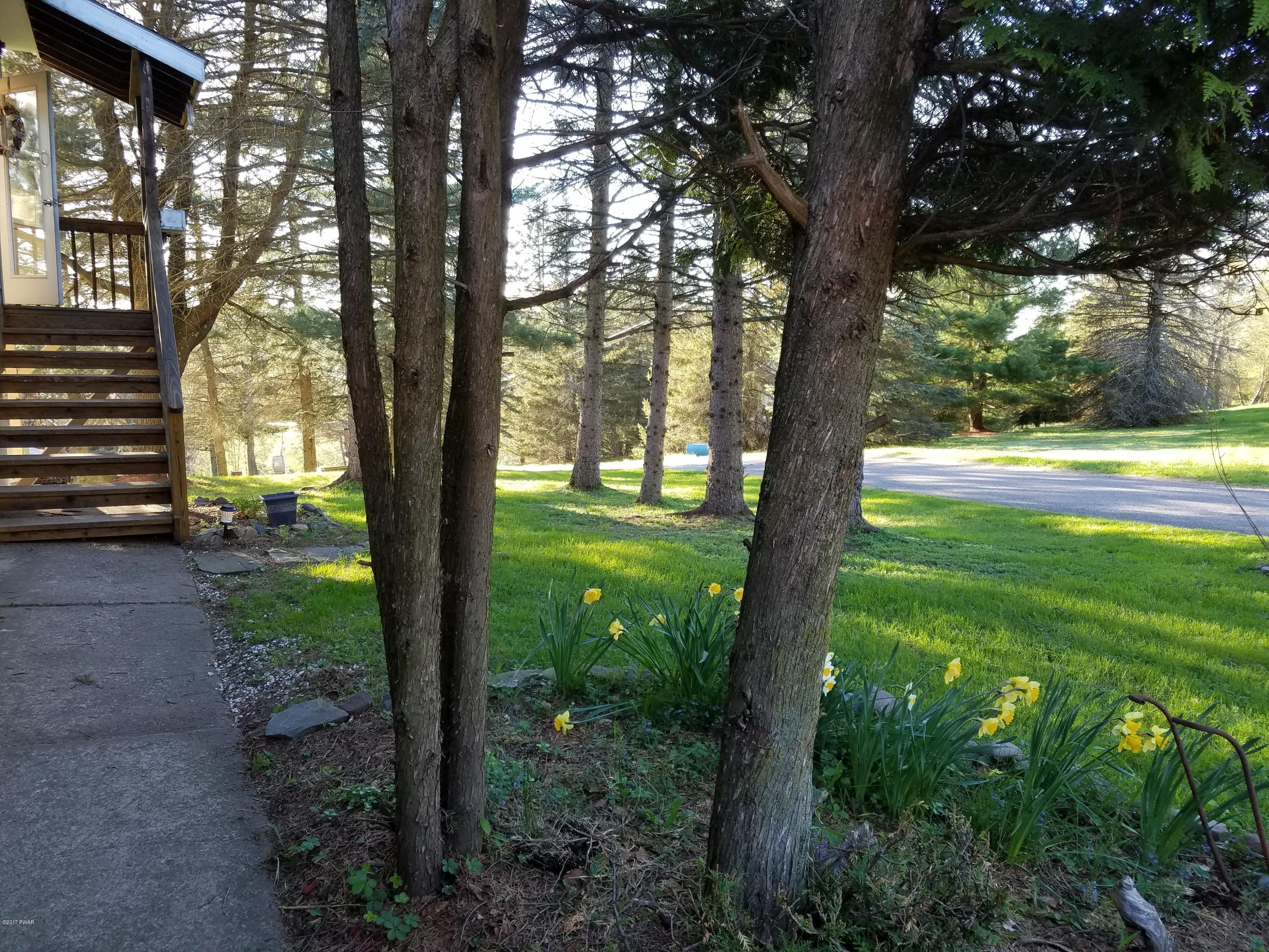 14 Alpine Rd Beach Lake Beach Lake, PA 18405 - Photo 18 of 28