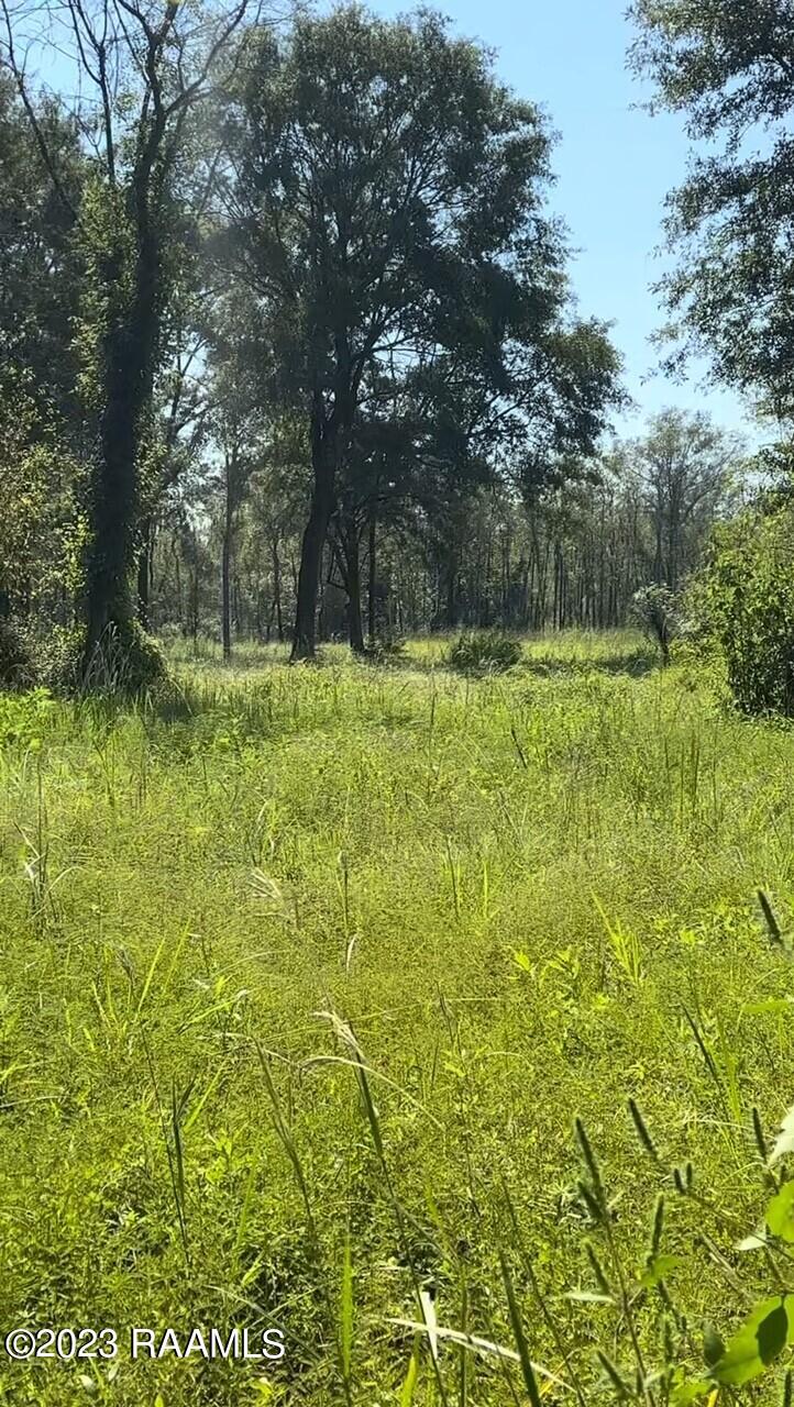 903 Benoit Road Carencro, LA 70520 - Photo 6 of 14 Gallery Image 6