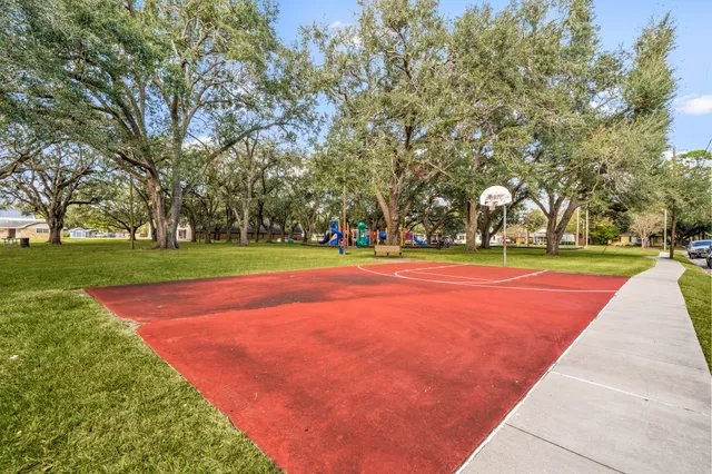 a park view with a bench and trees