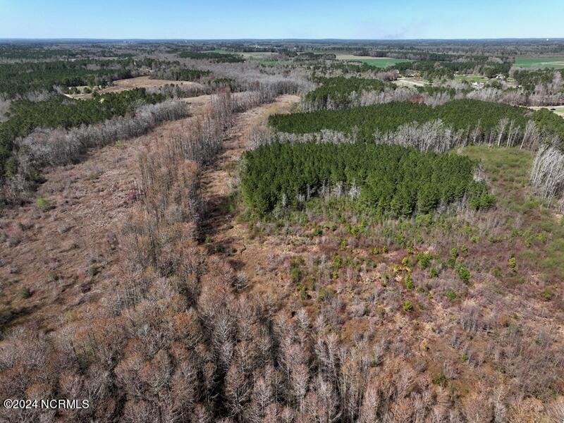 Tbd McGougan Road Lumber Bridge, NC 28357 - Photo 13 of 16 DJI_20240312142603_0151_D