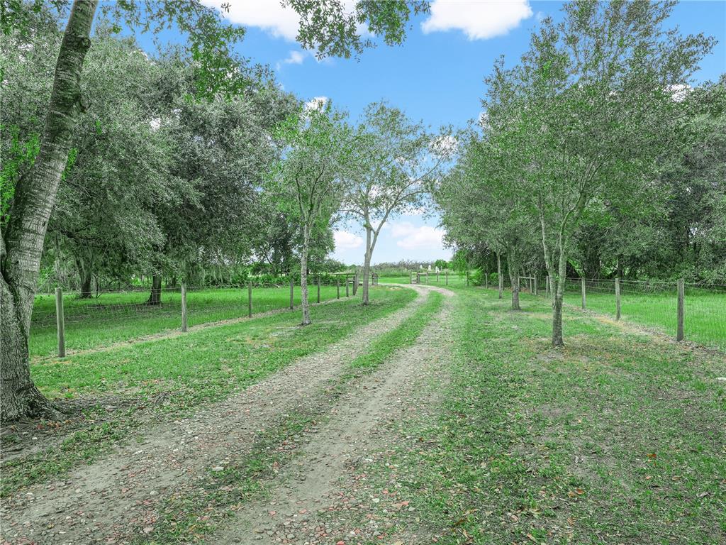 3963 Mammoth Grove Road Lake Wales, FL 33898 - Photo 38 of 42 a view of a park with large trees
