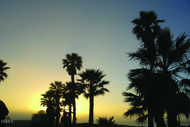 2025 Majorca Drive Oxnard, CA 93035 - Photo 26 of 28 Palm Trees