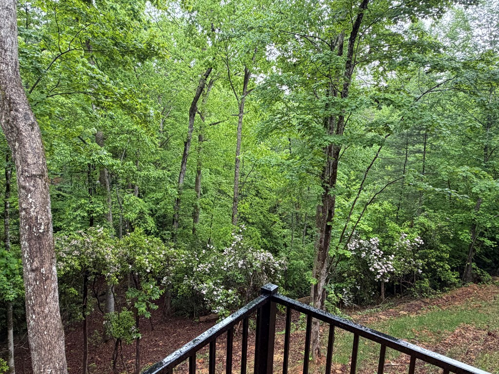 538 Hiawatha Trail Blue Ridge, GA 30513 - Photo 37 of 60