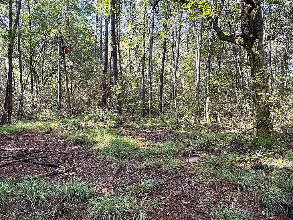 Lot C Dove Park Road Covington, LA 70433 - Photo 4 of 7